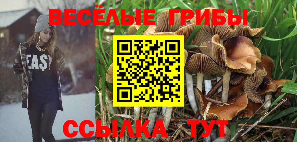 Псилоцибиновые грибы Magic Shrooms  Галлюциногенные грибы GOLDEN TEACHER  даркнет сайт  Вход с VPN  Набережные Челны 